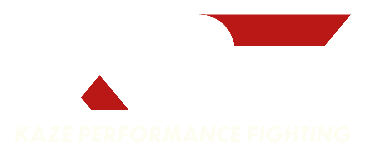 Amateur federation of kick boxing and k1